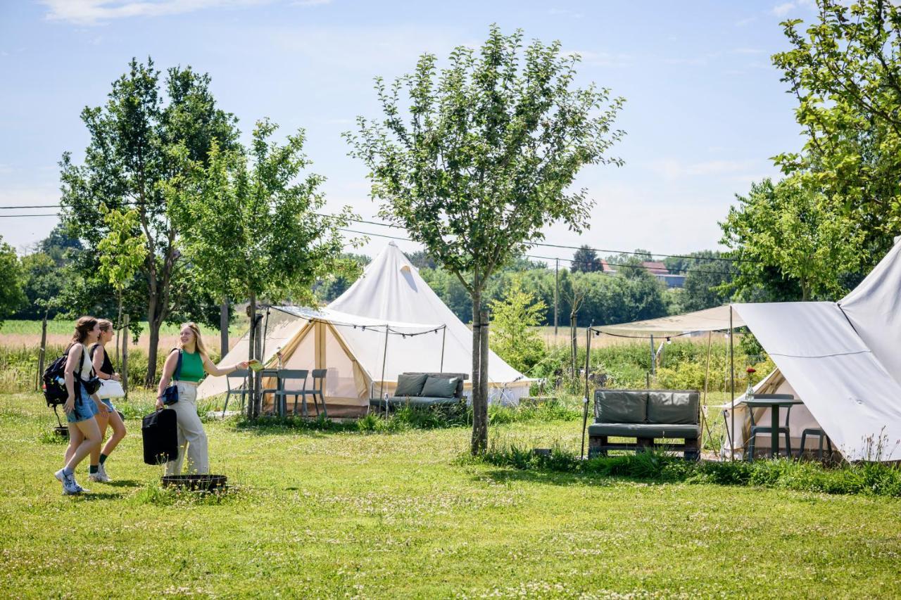 Pluimpapaver Hotel & Glamping อาร์ช็อท ภายนอก รูปภาพ